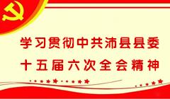 學習貫徹中共沛縣縣委十五屆六次全會精神